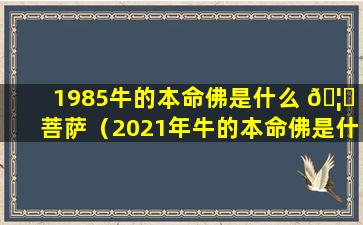 1985牛的本命佛是什么 🦄 菩萨（2021年牛的本命佛是什么菩萨）